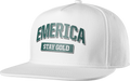 Emerica Team Stay Gold Snapback