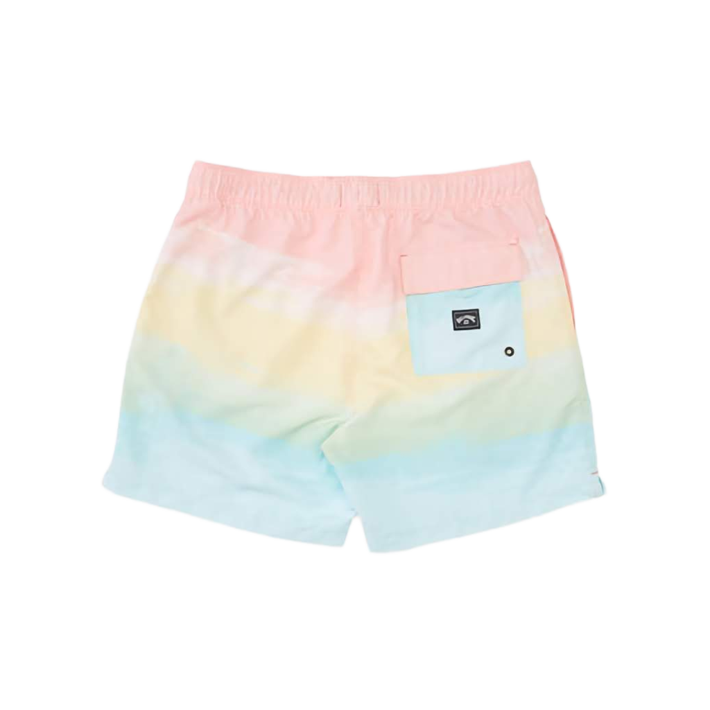Billabong Good Times Boardshorts Sunny Smith LLC