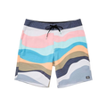 Billabong Sundays Pro Boardshorts Sunny Smith LLC