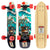 Sector 9 Bambino Shorebreak Cruiser Complete